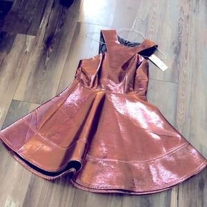 Metallic Pink Dress